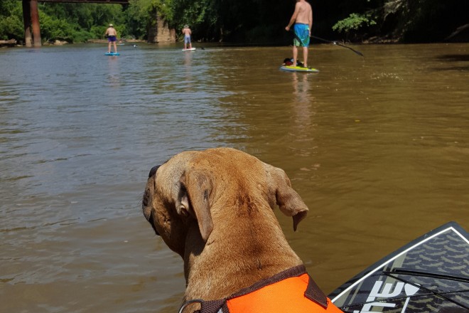 Georgia's Rome Office of Tourism River Dog Paddle & Outpost - Rome, Ga ...