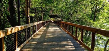 Boardwalk on the ECO Greenway