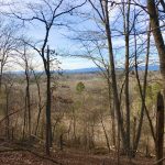 Blossom Hill trail