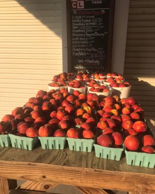 Peaches at LCCL Strawberry Farm