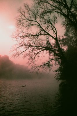 Fog on Film by Erin Cantrell