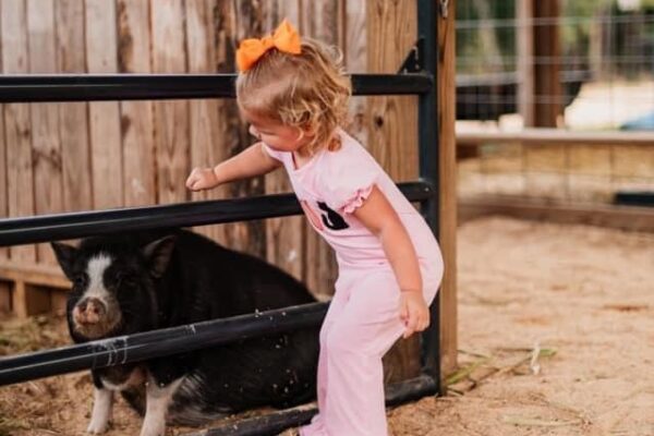 473588494_1643450036251999_7844840822454955170_n