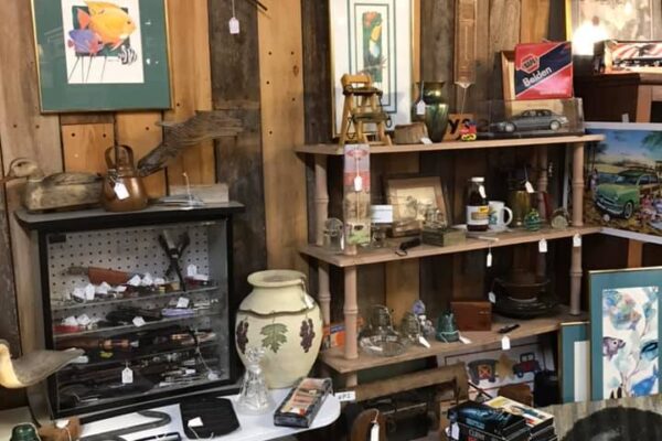 474406704_8748907198572247_4568112325939144012_n