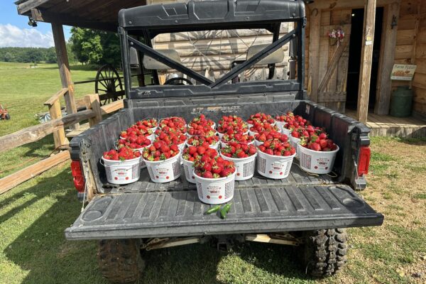 500040179_1119638226872613_3905202585946957607_n