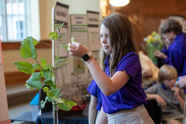 Darlington-School-62o58girrps84o8skwgkg8sk8-1122