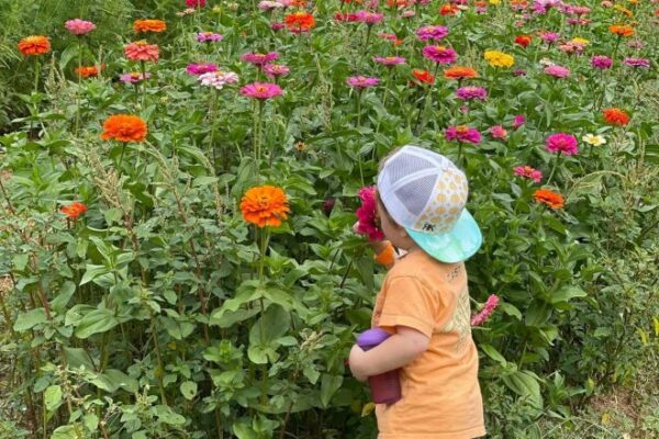 Rocky-Hollow-4-660x440