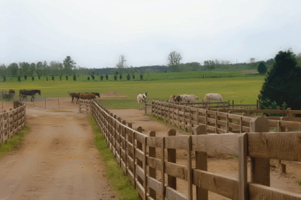 berry college campus trails