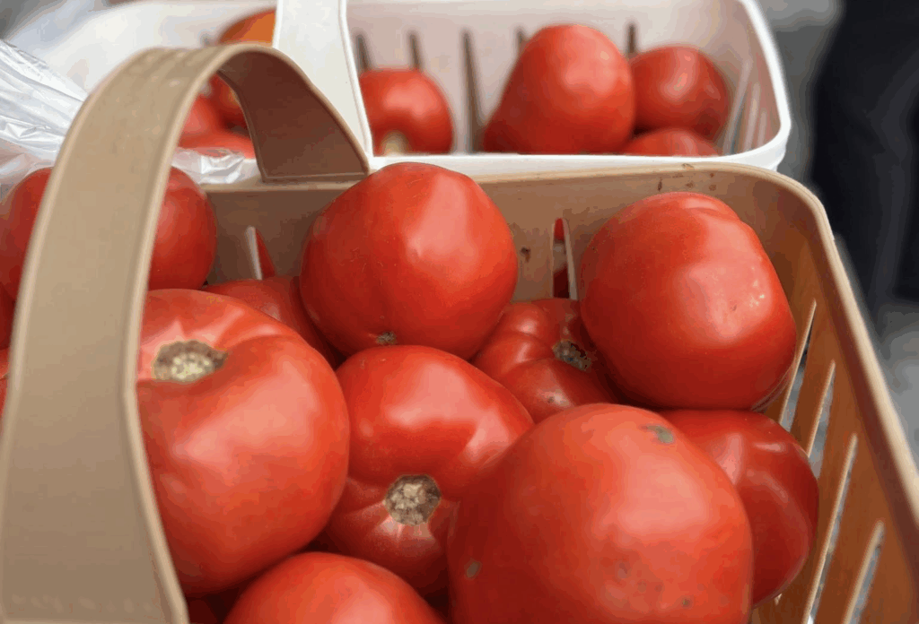 Georgia's Rome Farmers Market