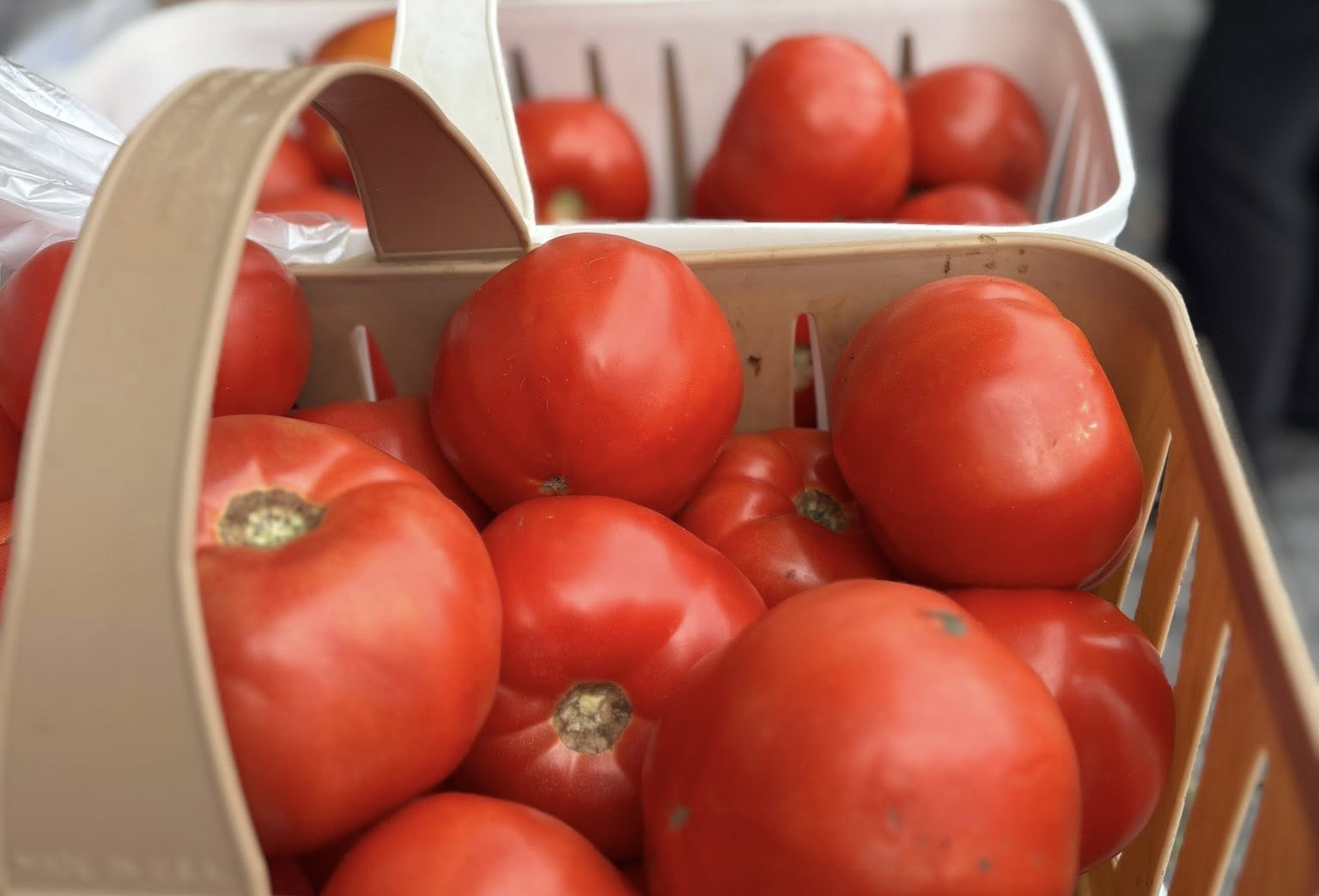 Georgia's Rome Farmers Market
