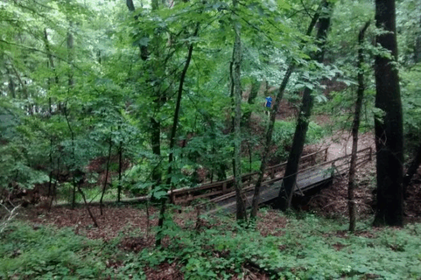 Jackson Hill Trail System