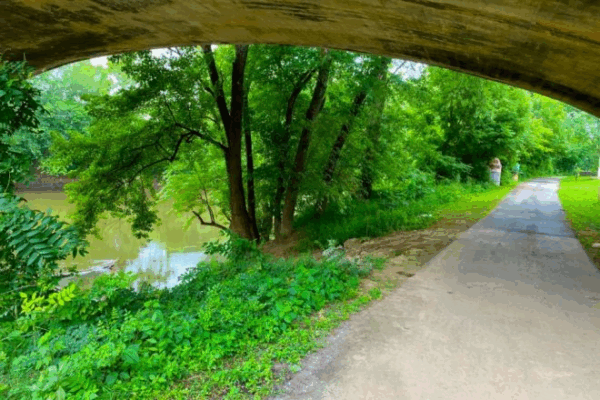 Kingfisher Trailhead