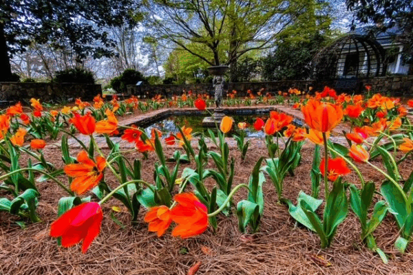 oak hill and martha berry museum gardens