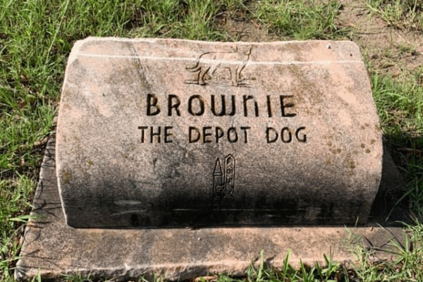 brownie the depot dog