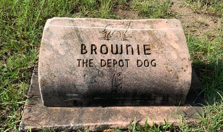 brownie the depot dog
