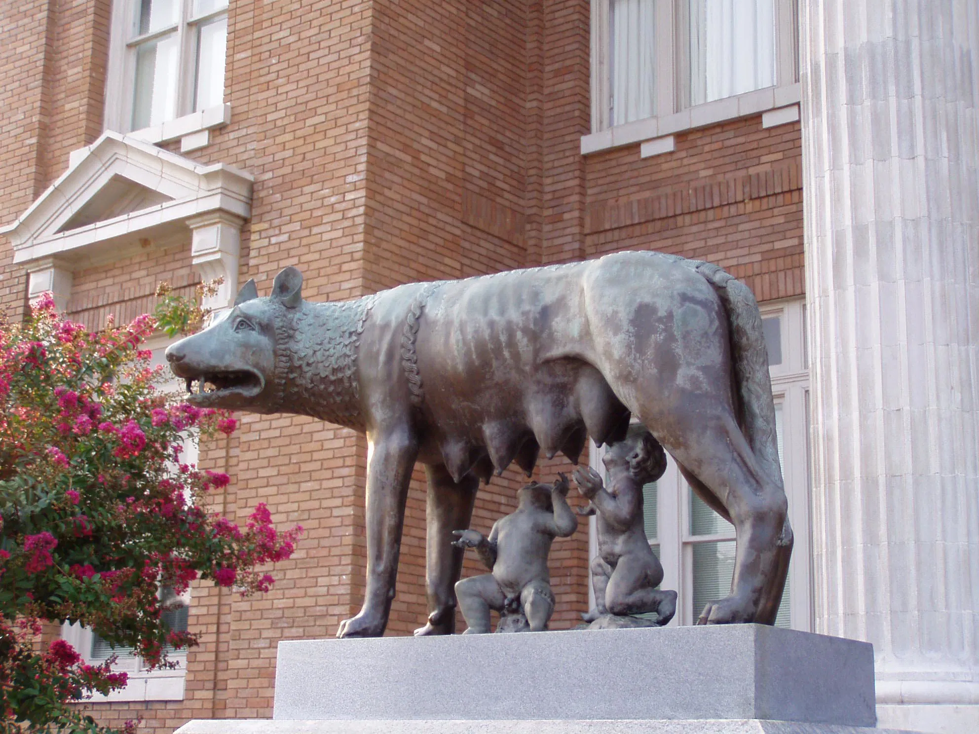 capitoline wolf