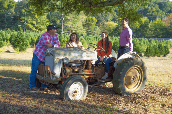 Silver Creek Christmas Tree Farm
