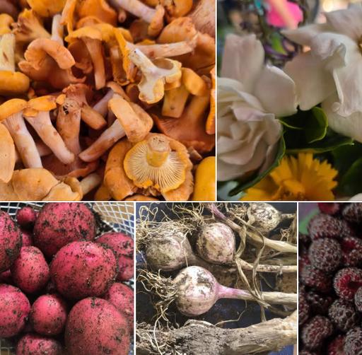 Cave Spring Community Market