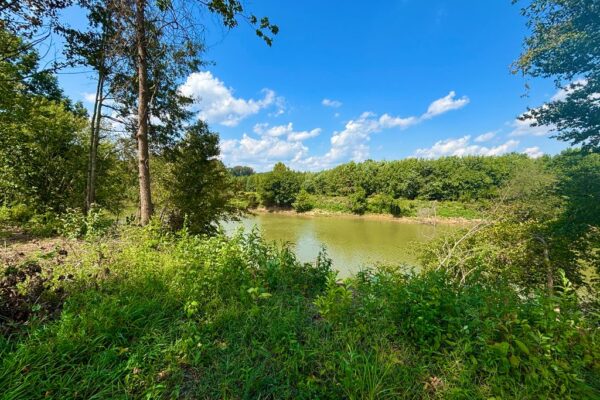 eco roost by the river riverview
