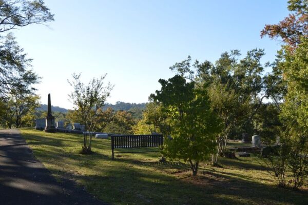 myrtle hill tree tour