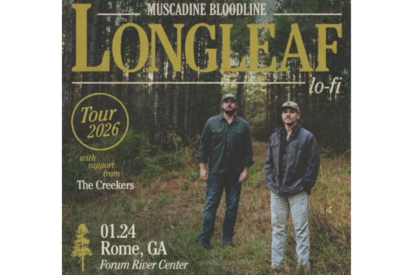 muscadine bloodline