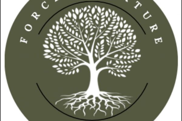 force of nature logo