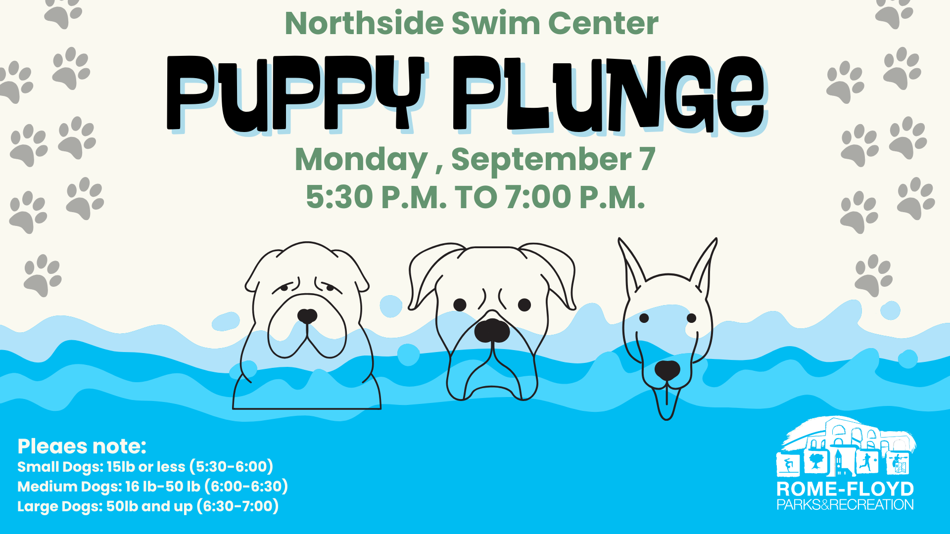 Puppy Plunge